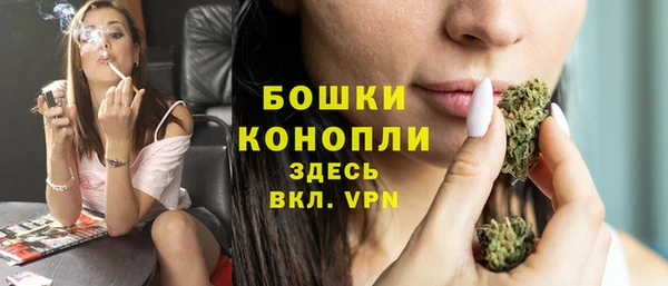 дживик Богданович