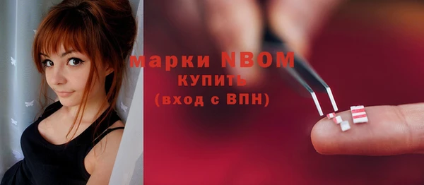 mdpv Богородицк