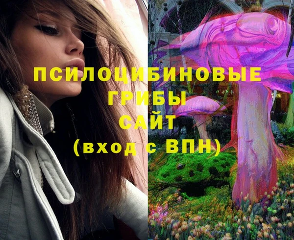дживик Богданович