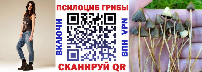 ОМГ ОМГ ссылка  Онега  Галлюциногенные грибы Psilocybine cubensis 