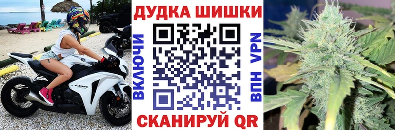 МАРИХУАНА планчик  Онега 